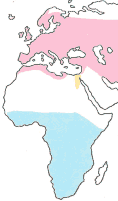 Carte de répartition de Hirondelle rustique